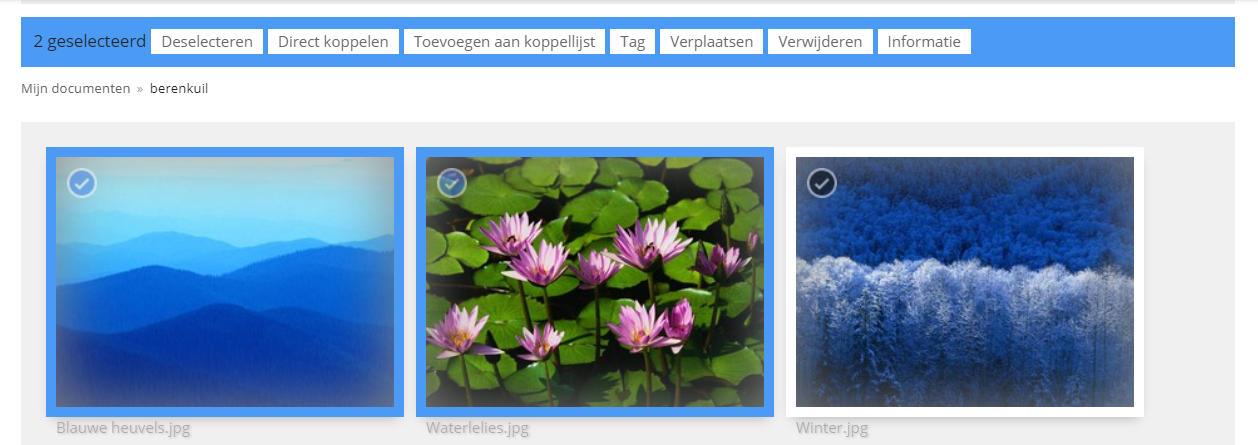 selectiefoto.png
